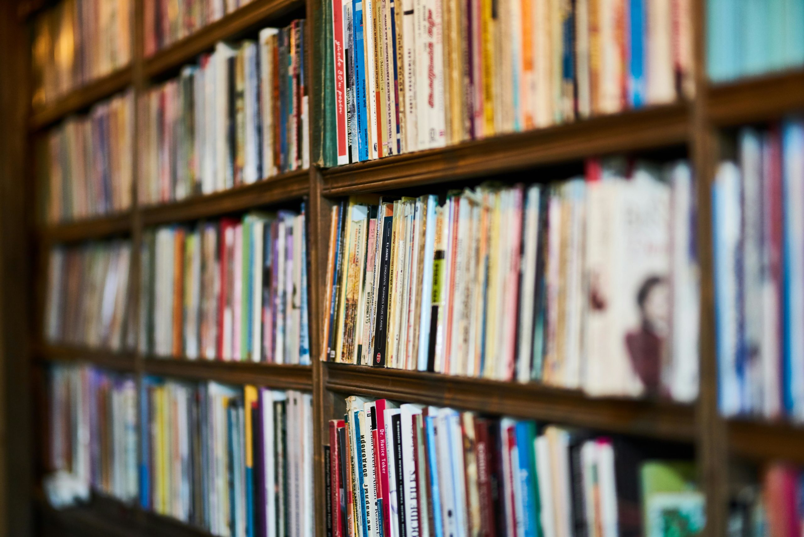 pexels-enginakyurt-bibliographie