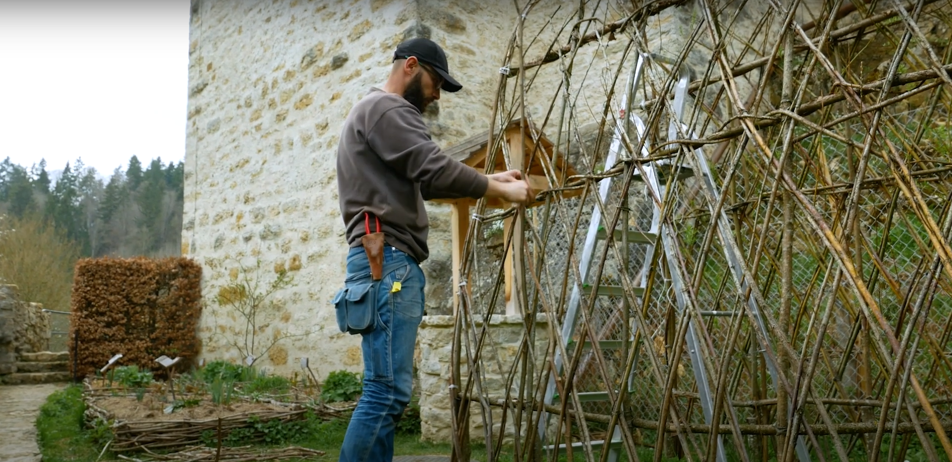 Aux racines du passé