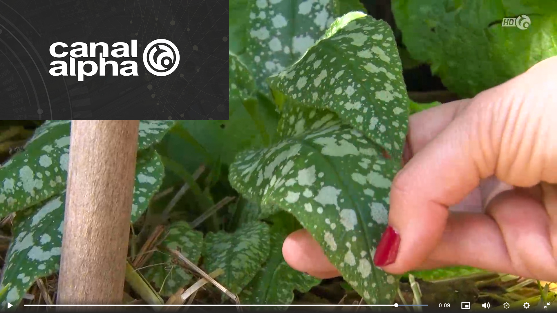 Valanjardin alimentation