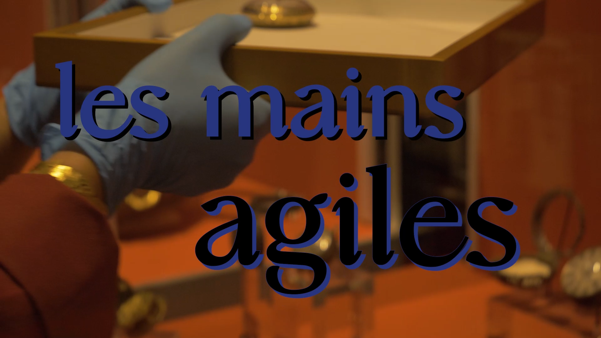 VIGNETTE les mains agiles