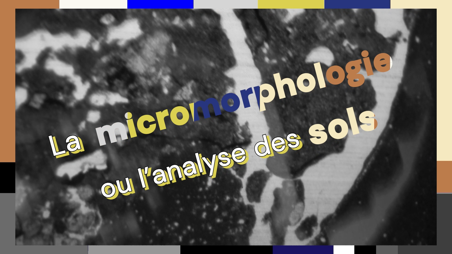 VIGNETTE micromorphologie