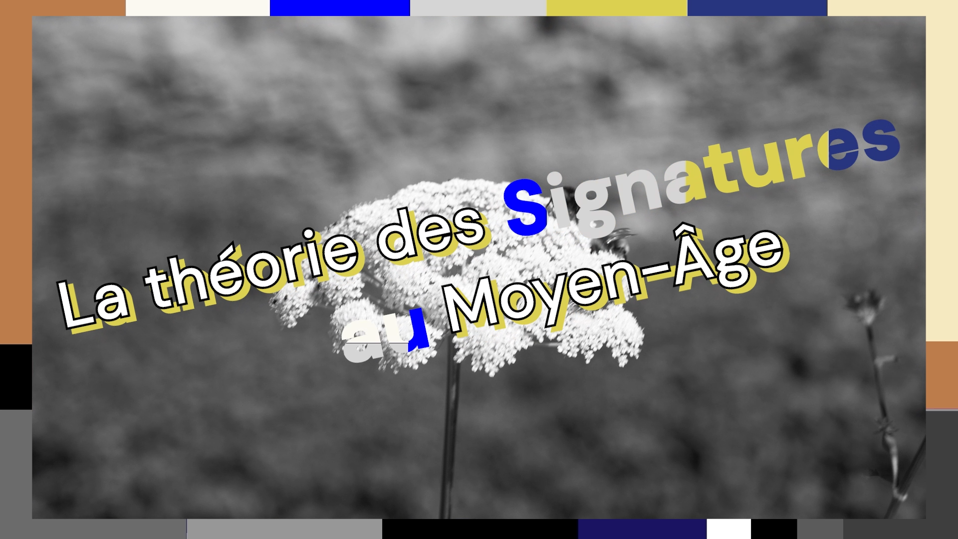 VIGNETTE théorie des signatures